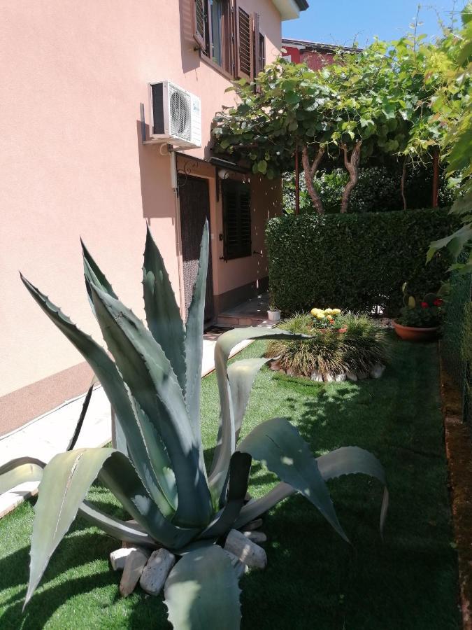 Apartman Bruna Novigrad Istria Εξωτερικό φωτογραφία
